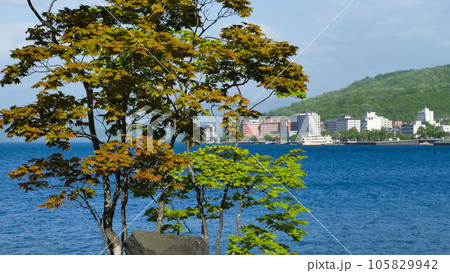 夏の洞爺湖湖畔風景 105829942