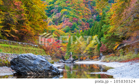 湯瀬渓谷（秋） 105830324