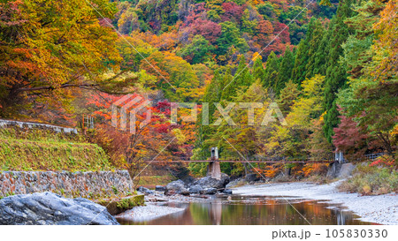 湯瀬渓谷(秋) 湯瀬渓谷(秋) 105830330