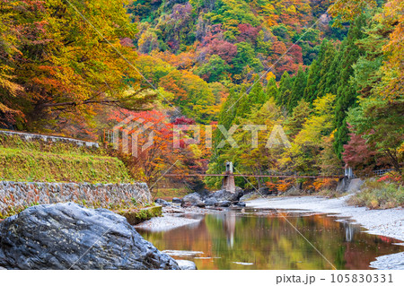 湯瀬渓谷（秋） 105830331