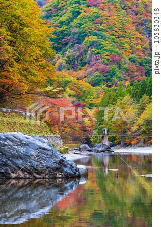 湯瀬渓谷（秋） 105830348