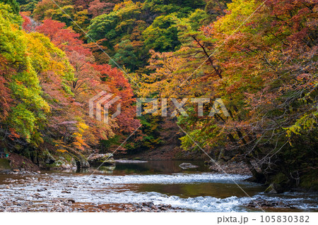 湯瀬渓谷(秋) 湯瀬渓谷(秋) 105830382