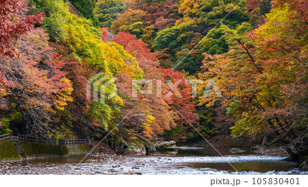湯瀬渓谷(秋) 湯瀬渓谷(秋) 105830401