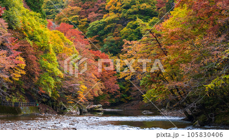湯瀬渓谷（秋） 105830406