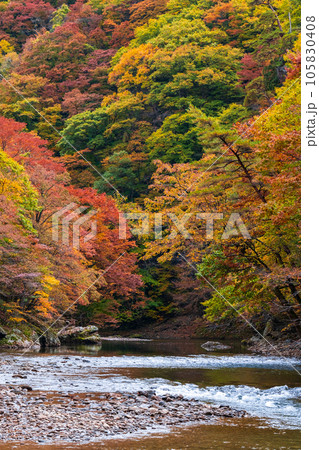 湯瀬渓谷（秋） 105830408