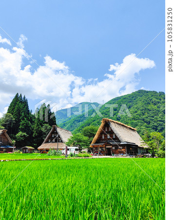 夏の五箇山・菅沼合掌造り集落 105831250