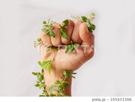 Woman hand, nature growth and fist for eco warrior, fight and revolution for sustainability protest. White background, studio and person with leaf and green plant in hands for environment rally 105831306