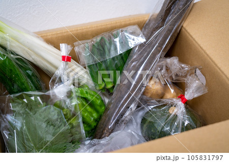 ふるさと納税イメージ ふるさと納税イメージ 105831797