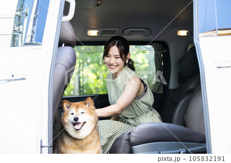 車でお出かけする若い女性と柴犬 105832191