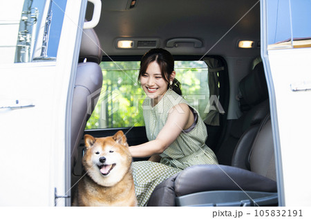 車でお出かけする若い女性と柴犬 車でお出かけする若い女性と柴犬 105832191