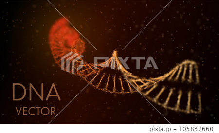 DNA helix in a medium of particles. Depth of field. 3D. Medical science background. Gene cell concept vector. Warm colors. 105832660