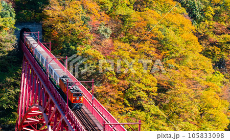 秋の黒部峡谷:新山彦橋を走るトロッコ電車 秋の黒部峡谷:新山彦橋を走るトロッコ電車 105833098