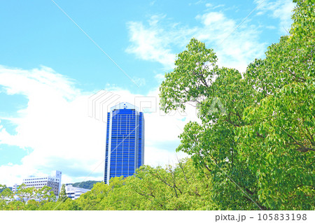 神戸市、神戸市役所と新緑の風景 105833198