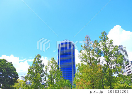 神戸市、神戸市役所と新緑の風景 105833202