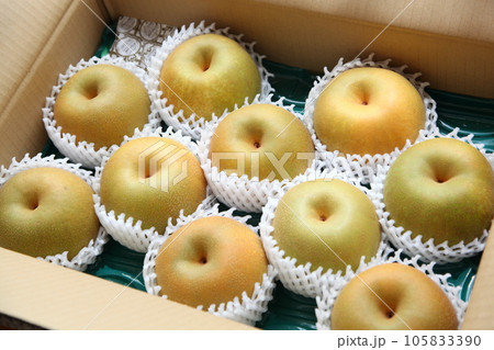 箱に入った梨 箱に入った梨 105833390