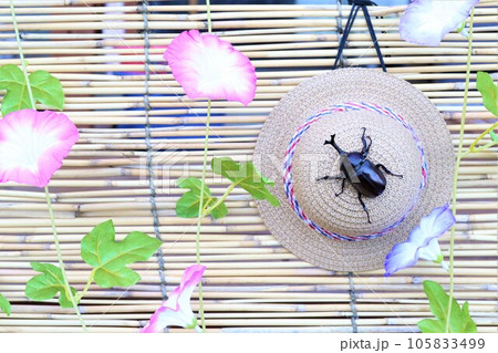 すだれに掛かる朝顔の花とカブトムシが乗ってる麦わら帽子の涼しげな写真 105833499
