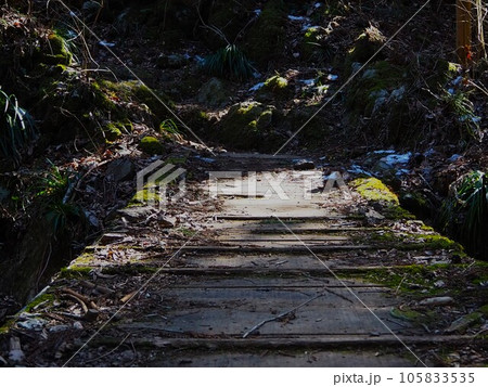 高畑山の登山道 105833535