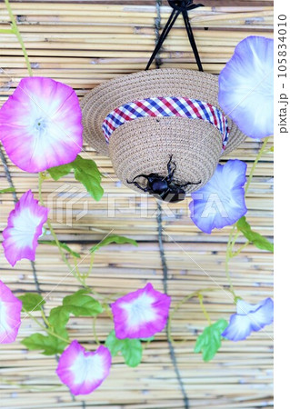 すだれに掛かる朝顔の花とカブトムシが乗ってる麦わら帽子の涼しげな写真 105834010