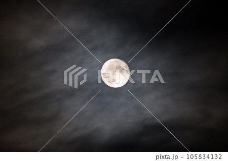 ｢満月(2023.8)｣ 北米とカナダの五大湖に生息する主要な魚 スタージェンは日本語でチョウザメ 105834132