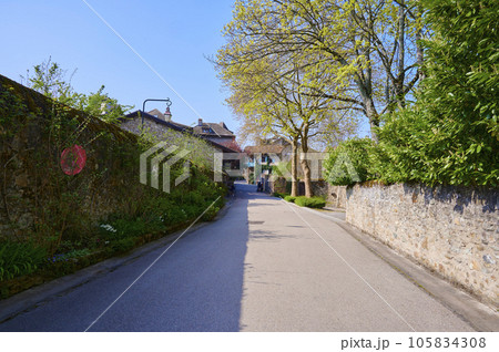 A landscape around Yvoire village on a sunny day, France 105834308