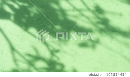 Abstract Background Shadow Leaves From window House Effect,Overlay Construction Concrete Green Cement Wall backdrop,Premium Design Mock up Banner Card Poster for Presentation Environment concept. 105834434