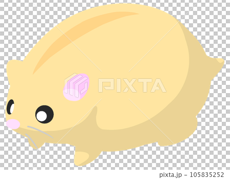 creamy line jungarian 105835252