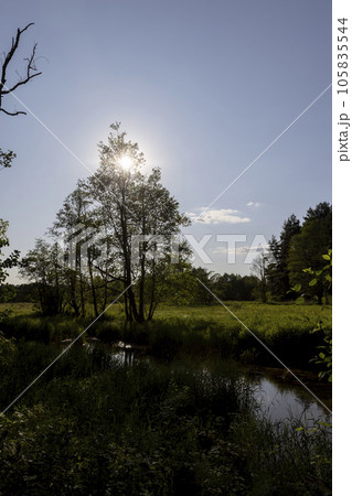 a small river in eastern Europe in the summer a small river in eastern Europe in the summer 105835544