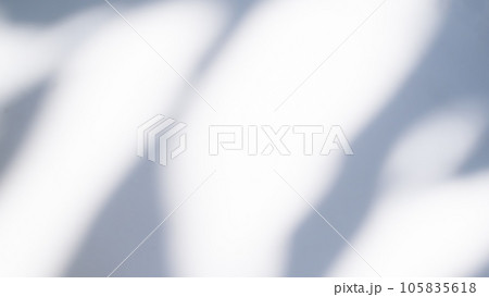 Blur Overlay Shadow Leaves Background,Abstract Sunlight effect Nature on Gray Cement Backdrop,Mock Up Display Free Space for add Products presentation,Structure Concrete Material Floor Construction. Blur Overlay Shadow Leaves Background,Abstract Sunlight effect Nature on Gray Cement Backdrop,Mock Up Display Free Space for add Products presentation,Structure Concrete Material Floor Construction. 105835618