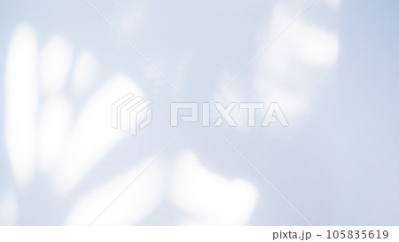 Blur Overlay Shadow Leaves Background,Abstract Sunlight effect Nature on Gray Cement Backdrop,Mock Up Display Free Space for add Products presentation,Structure Concrete Material Floor Construction. Blur Overlay Shadow Leaves Background,Abstract Sunlight effect Nature on Gray Cement Backdrop,Mock Up Display Free Space for add Products presentation,Structure Concrete Material Floor Construction. 105835619