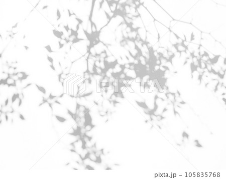 Blur Overlay Shadow Leaves Background,Abstract Sunlight effect Nature on Gray Cement Backdrop,Mock Up Display Free Space for add Products presentation,Structure Concrete Material Floor Construction. Blur Overlay Shadow Leaves Background,Abstract Sunlight effect Nature on Gray Cement Backdrop,Mock Up Display Free Space for add Products presentation,Structure Concrete Material Floor Construction. 105835768