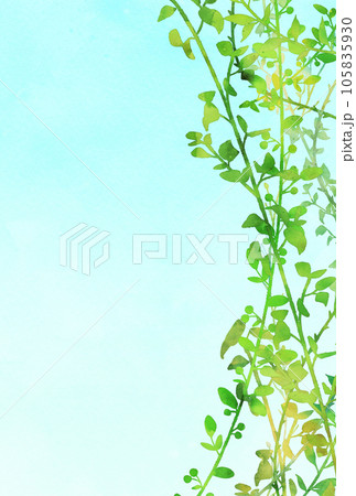 背景素材_水彩_植物 背景素材_水彩_植物 105835930