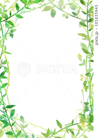 背景素材_水彩_植物 105835943