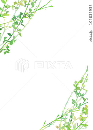 背景素材_水彩_植物 105835958