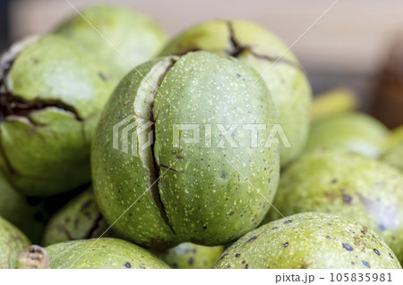 Ripe walnuts with green shells 105835981