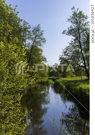 a small river in eastern Europe in the summer 105836427