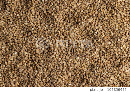 A large amount of roasted buckwheat harvest A large amount of roasted buckwheat harvest 105836455