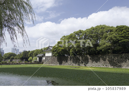 大手町の夏 大手町の夏 105837989