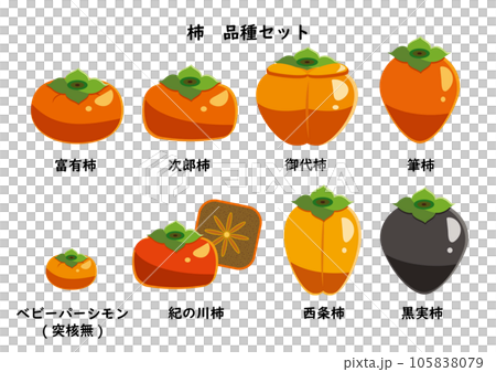 柿　品種セット　シンプル 105838079