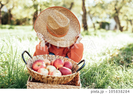 Child picking apples on farm in autumn. Little girl playing in tree orchard. Healthy nutrition. Cute little girl eating red delicious fruit. Harvest Concept. Apple picking. 105838284