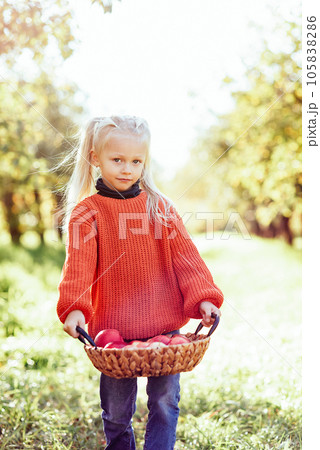 Child picking apples on farm in autumn. Little girl playing in tree orchard. Healthy nutrition. Cute little girl eating red delicious fruit. Harvest Concept. Apple picking. 105838286