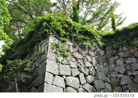 三原城 三原城 105838556
