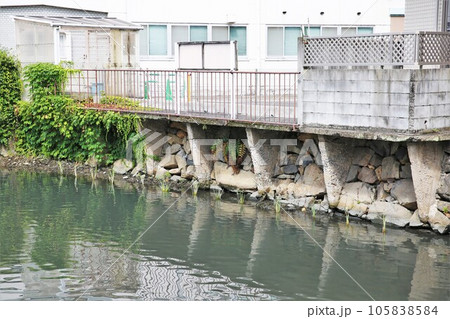 三原城 三原城 105838584