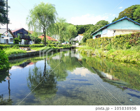 静岡県 泉の里 湧水公園 7月 静岡県 泉の里 湧水公園 7月 105838936