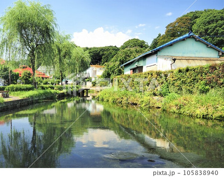 静岡県　泉の里　湧水公園　7月 105838940