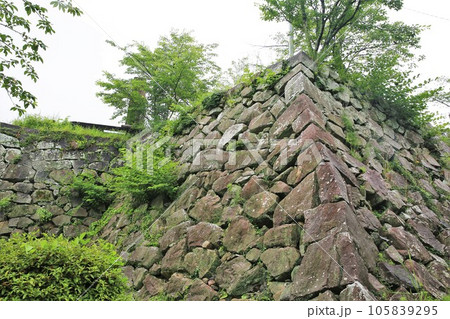 延岡城 延岡城 105839295
