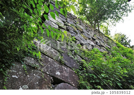 延岡城 延岡城 105839312