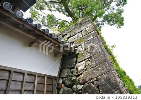 延岡城 延岡城 105839313