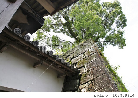 延岡城 延岡城 105839314