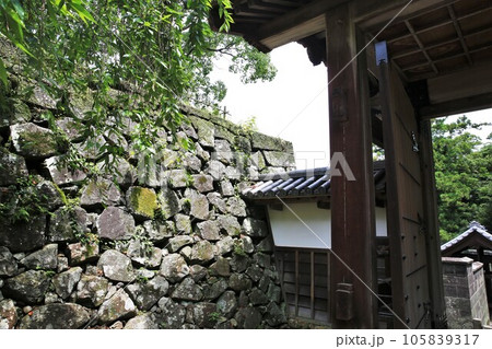 延岡城 延岡城 105839317