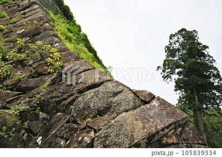 延岡城 延岡城 105839334